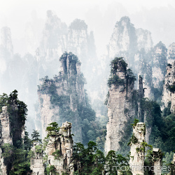 Stock photo collection: Nature and Landscape photography