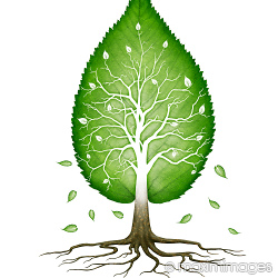 Stock photo collection: Environment and Ecology conceptual images