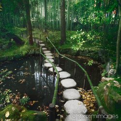 Stock photo collection: Fine Art Prints and Wall Decor photo collection