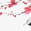 Artwork preview Artwork preview