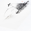 Artwork preview Artwork preview