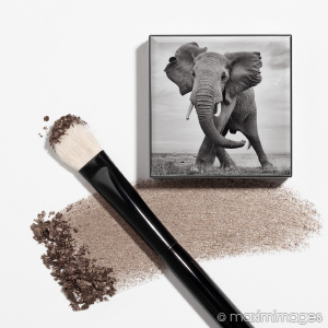High-end product photo retouching example