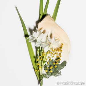 High-end product photo retouching example