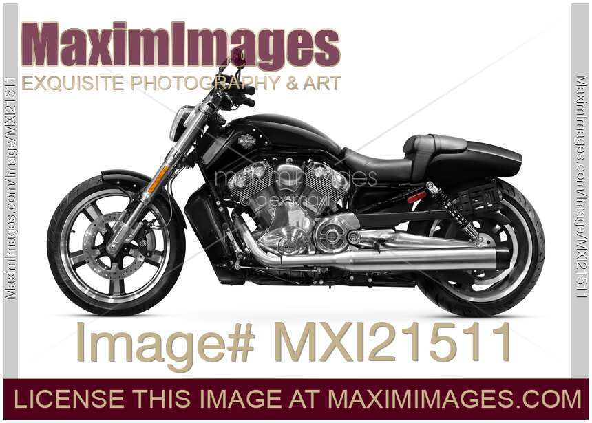 2010 Harley-Davidson VRSC V-Rod Muscle