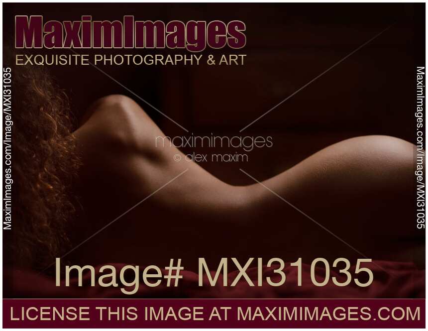 Abstract fine art nude portrait of a lying naked woman back outline