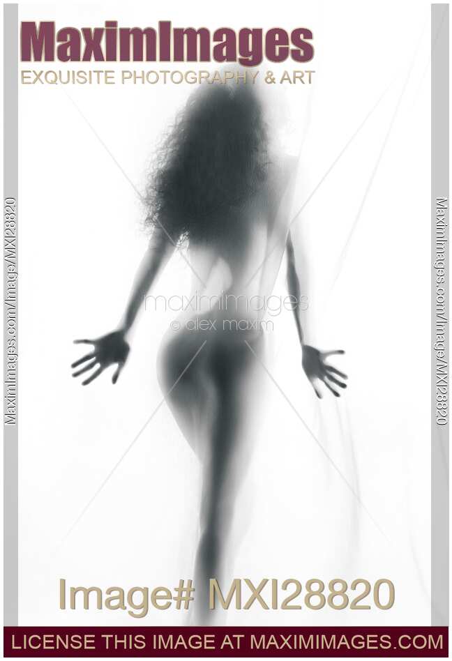 Abstract sensual woman silhouette behind white sheer curtain