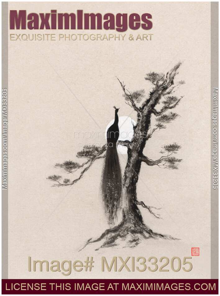 Abstract Zen sumi-e painting of a peacock silhouette perching on the pine tree in the full moon