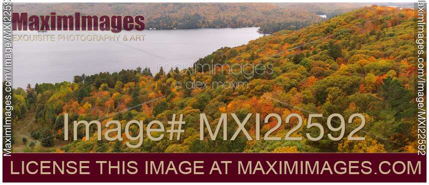 Aerial Fall Nature Scenery of a Forest