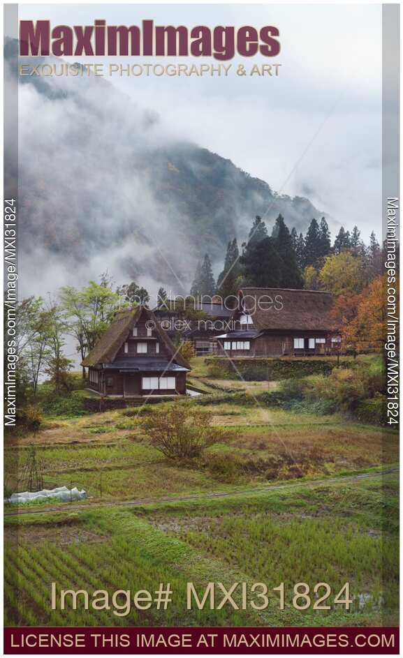 Ainokura Japanese mountain village Gassho-style houses and rice paddies in a foggy autumn morning scenery Japan