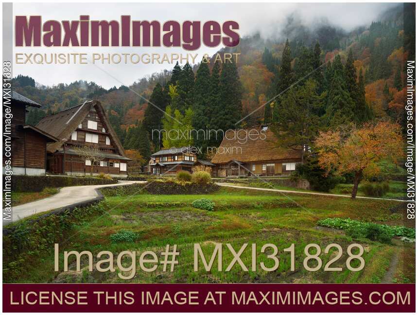 Ainokura mountain village with traditional Gassho farm houses and rice paddies in autumn scenery Japan