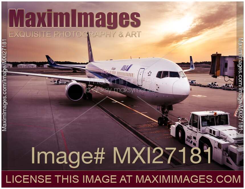 Air Japan ANA airplane at airport