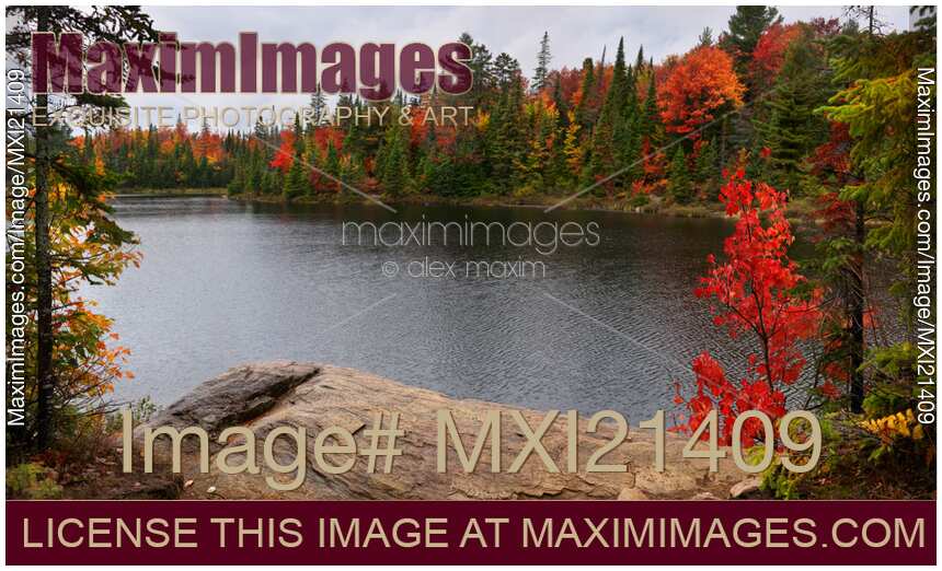 Algonquin Provincial Park Ontario