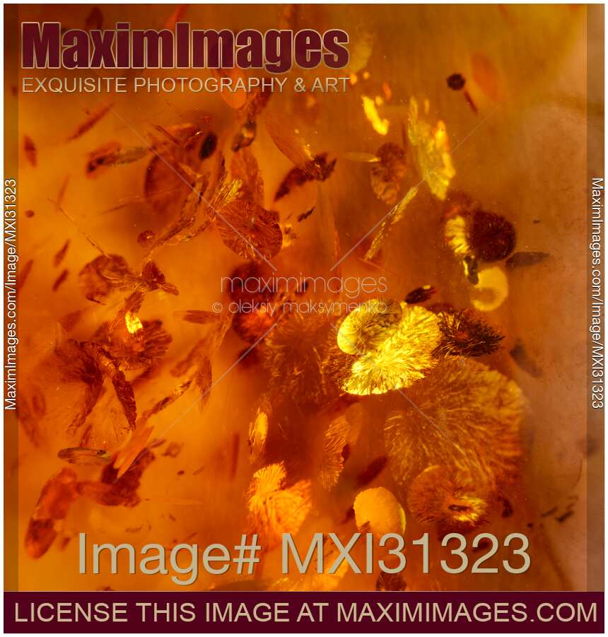 Amber Gemstone Detail Closeup