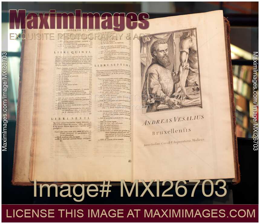 Andreas Vesalius De Humani Corporis Fabrica anatomy book