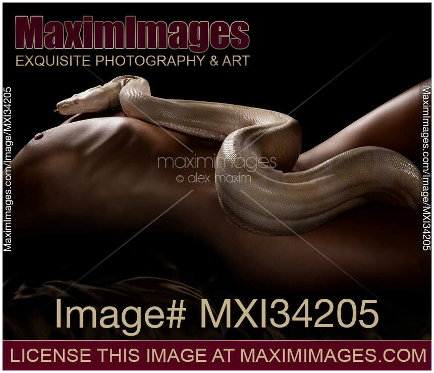 Art nude photograph of a white albino boa snake slithering on sexy naked body of a woman