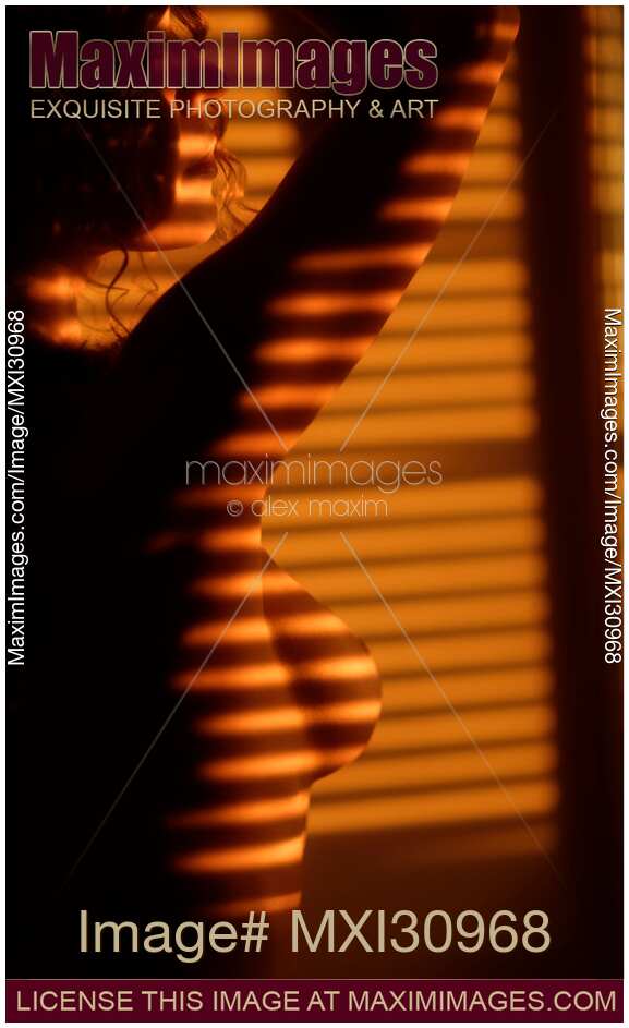 Art nude portrait of a woman standing in light coming through window blinds