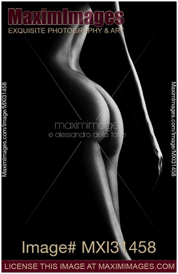 Art nude woman body parts buttocks and arm outline Black and white
