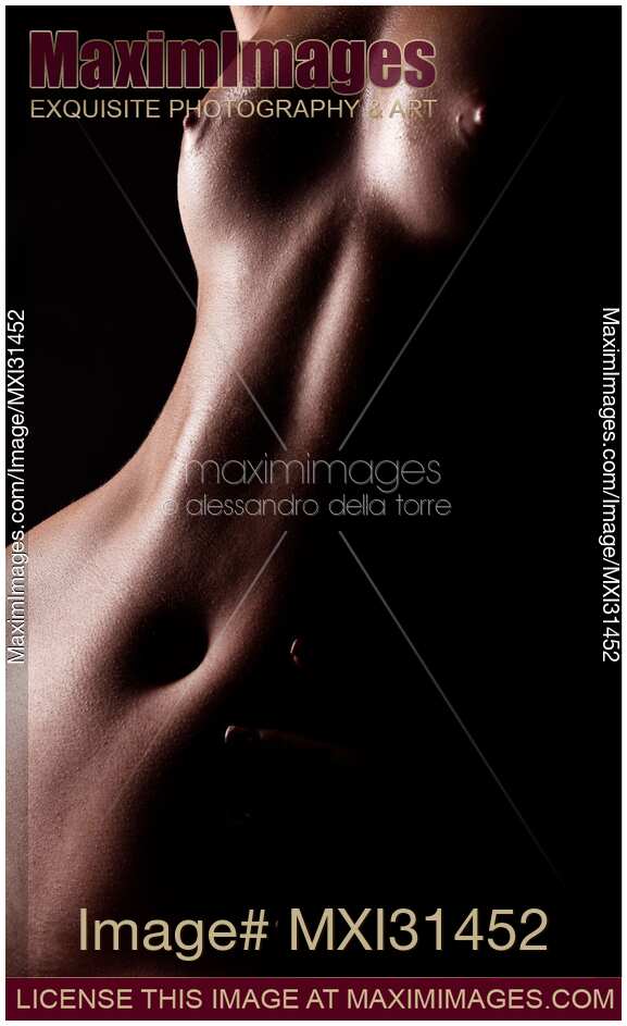 Art nude woman torso body parts closeup of breasts