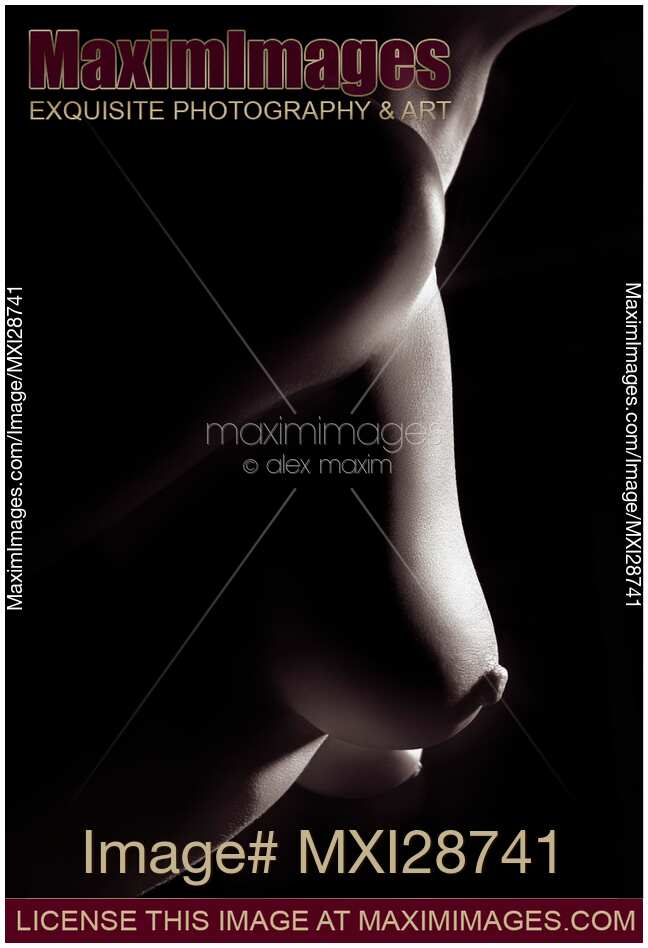 Artistic closeup of nude woman breast Black and white sexy body parts