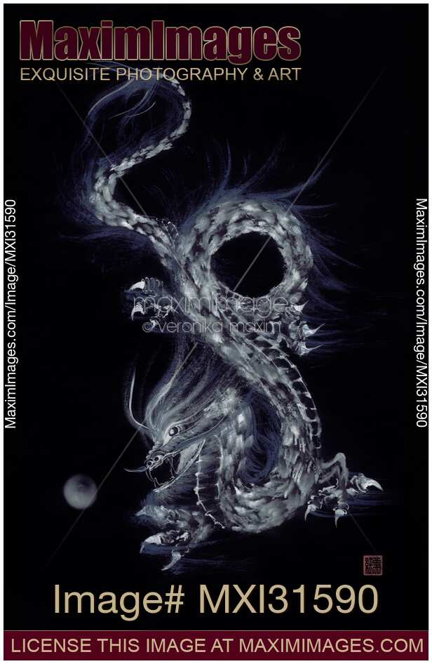 Artistic design of an asian dragon Taoist symbol with his Pearl of Wisdom grey on black