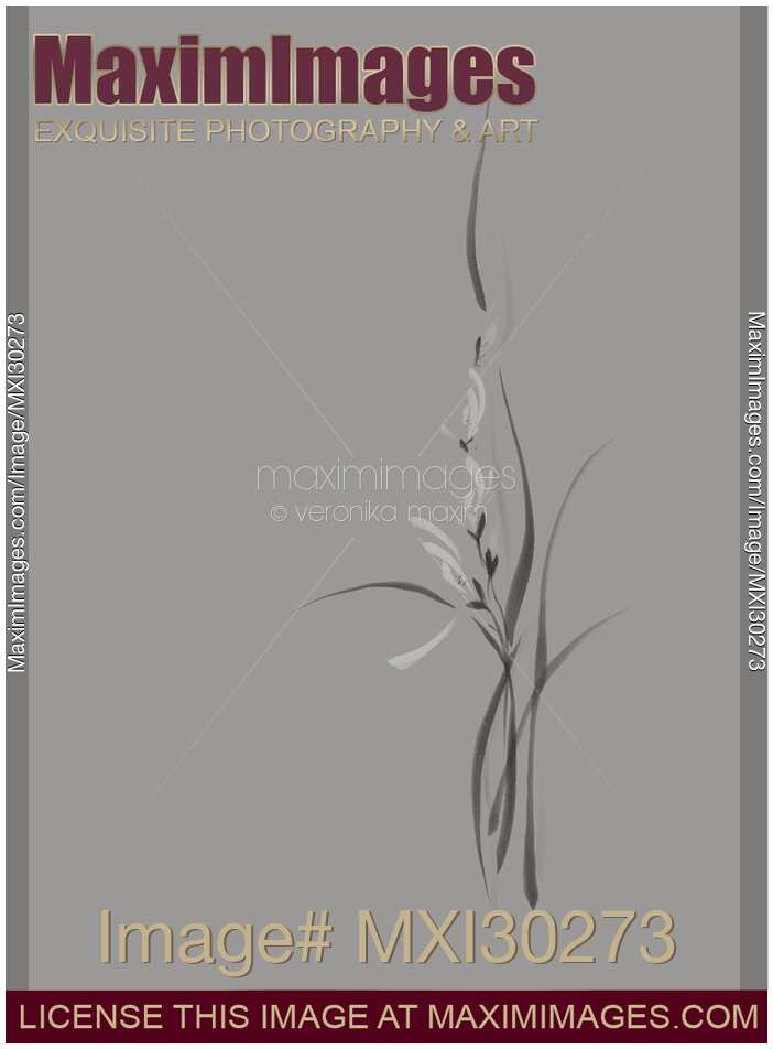 Artistic elegant orchid flowers floral design on light gray background