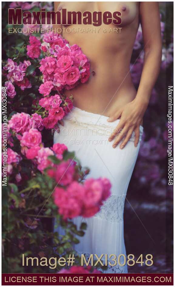 Artistic nude sensual closeup of a sexy half nude woman amidst pink roses