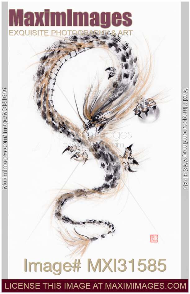 Asian Dragon with the Night Shining Pearl sumi-e black ink painting on white