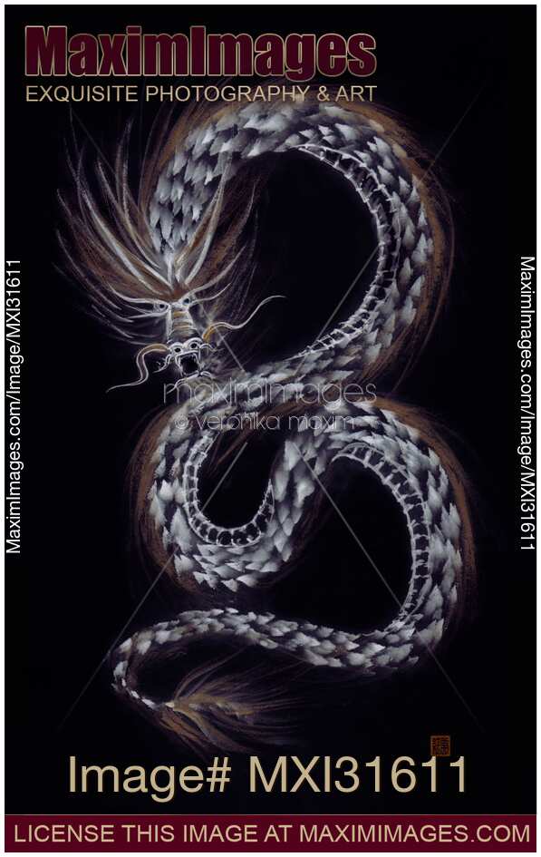 Asian mighty dragon artistic sumi-e design illustration on black