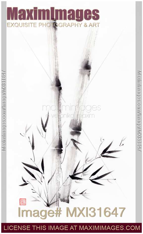Asian sumi-e black ink painting of bamboo stalks with root branches