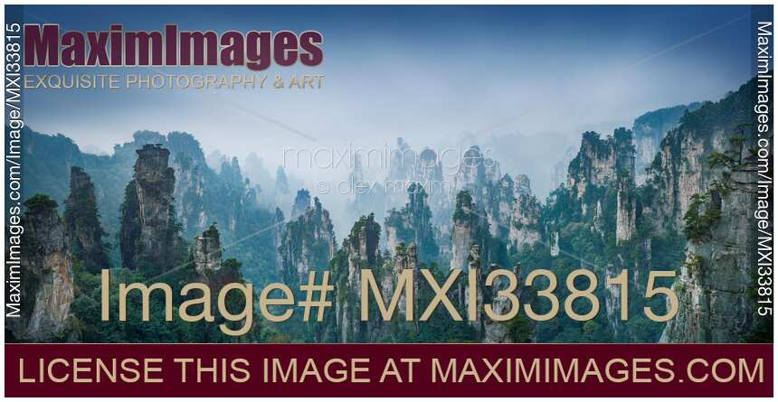 Atmospheric panorama of Zhangjiajie National Forest Park with mountain spires rising from white fog in dusk