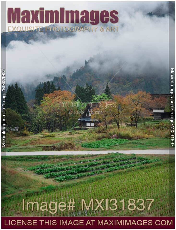 Atmospheric scenery of Ainokura Japanese mountain village historic houses rice paddies vegetable patches in fog
