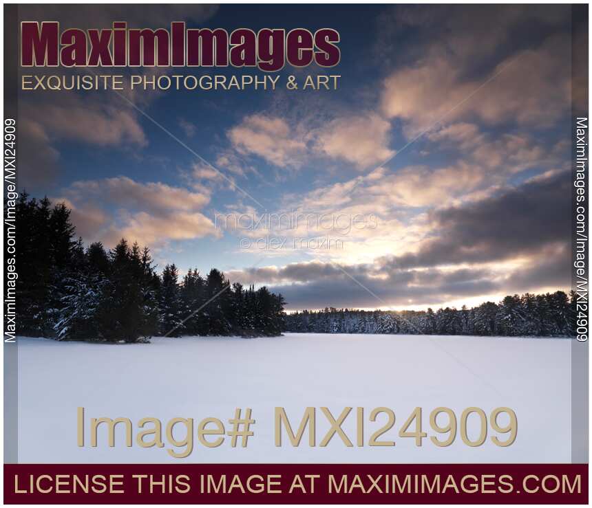 Atmospheric winter nature scenery