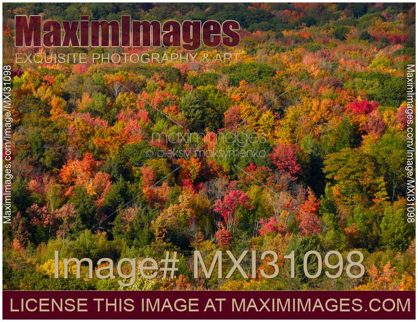 Autumn in Ontario