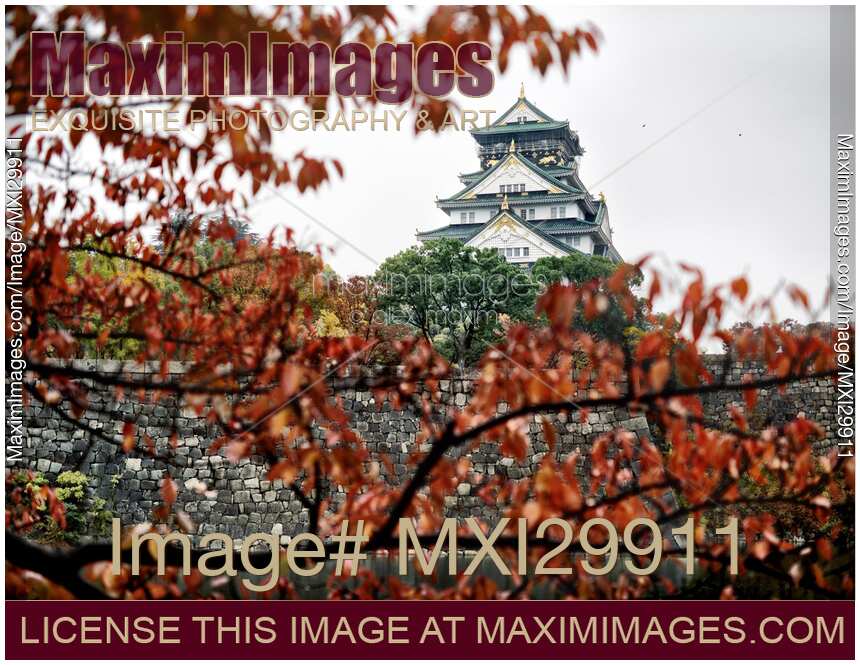 Autumn morning scenery of Osaka Castle through red autumn tree branches