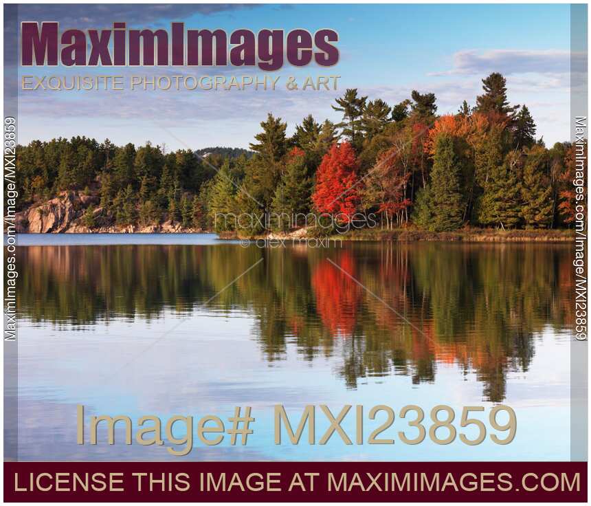 Autumn Nature Lake and Trees