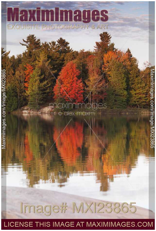 Autumn Nature Lake and Trees