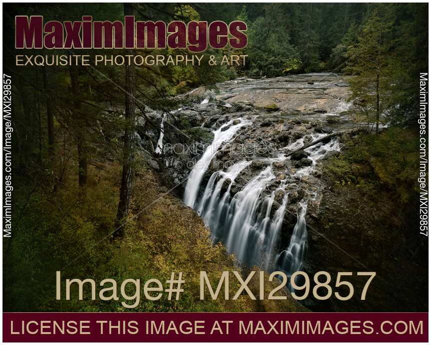 Autumn nature scenery of Englishman River Falls Provincial Park on Vancouver Island