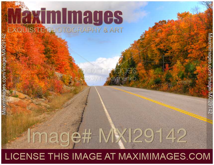 Autumn Nature