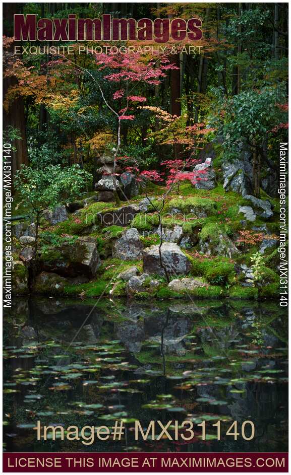 Autumn scenery at Tenjuan Temple Japanese pond garden
