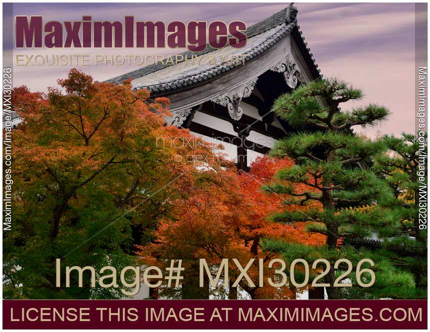 Autumn scenery of a Japanese garden at Tofuku-ji Kyoto