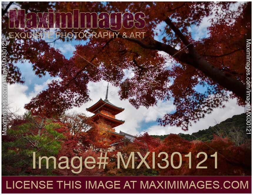 Autumnt scenery with red Japanese maples and Sanjunoto pagoda of Kiyomizu-dera in Kyoto Japan