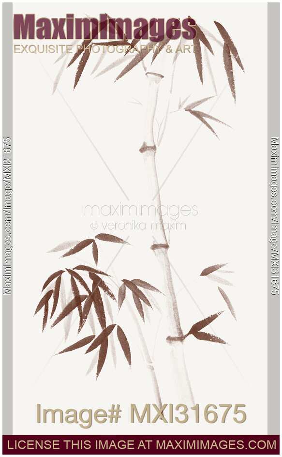 Bamboo stalk and a young root shoot with bushy leaves asian illustration in warm colors