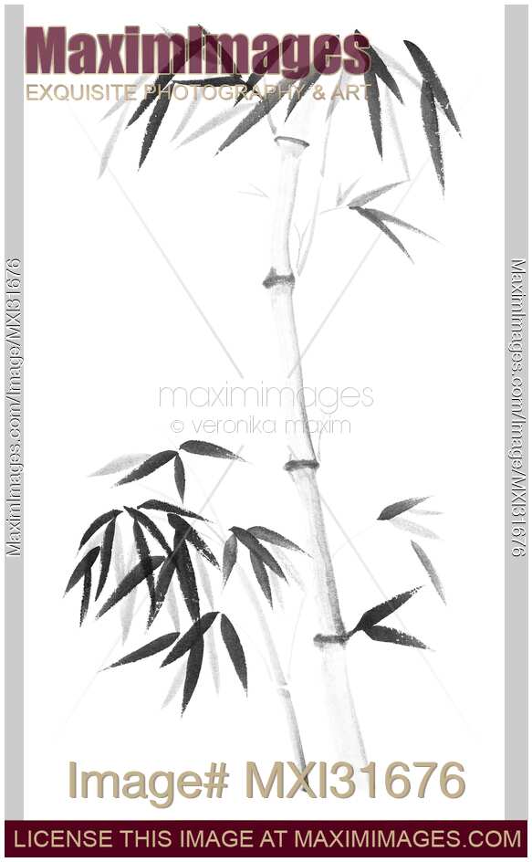 Bamboo stalk and a young root shoot with bushy leaves sumi-e design