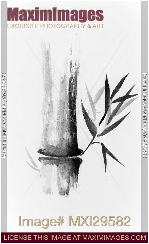 Bamboo stalk Sumi-e Oriental Zen painting illustration