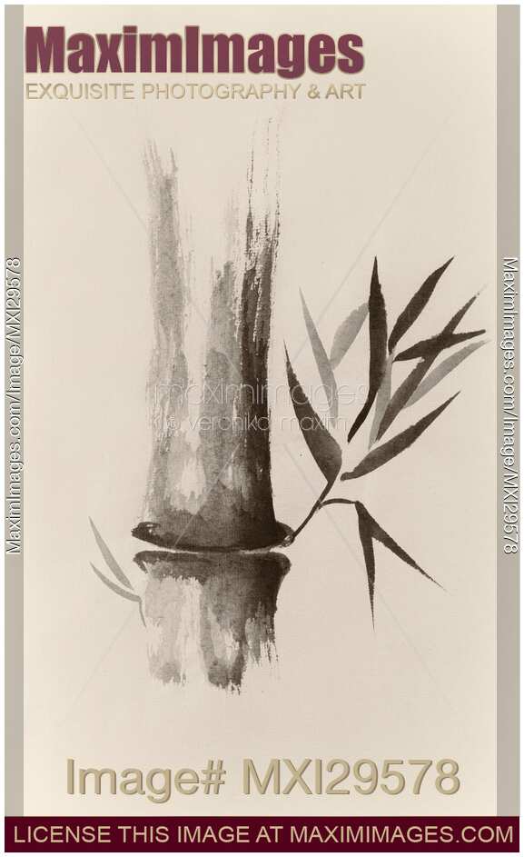 Bamboo stalk Sumi-e Oriental Zen painting in sepia