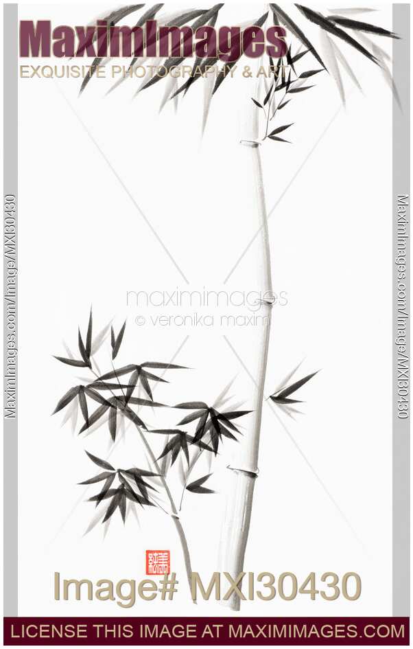 Bamboo stalk with branches and leaves Japanese Zen Sumi-e painting on white rice paper