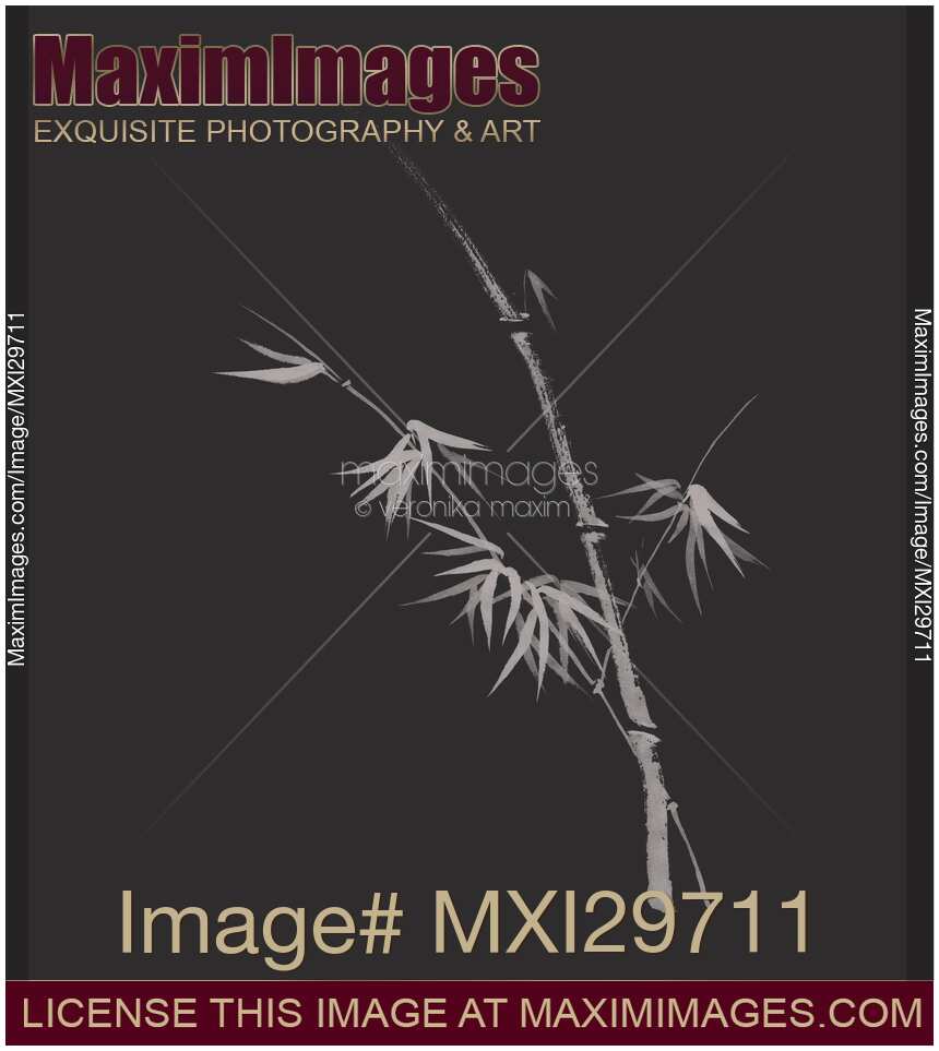 Bamboo stalk with leaves elegant Japanese Zen art design on black background