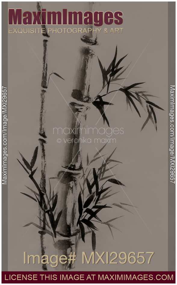 Bamboo stalk with leaves Sumi-e rice paper Zen painting artwork artistic design