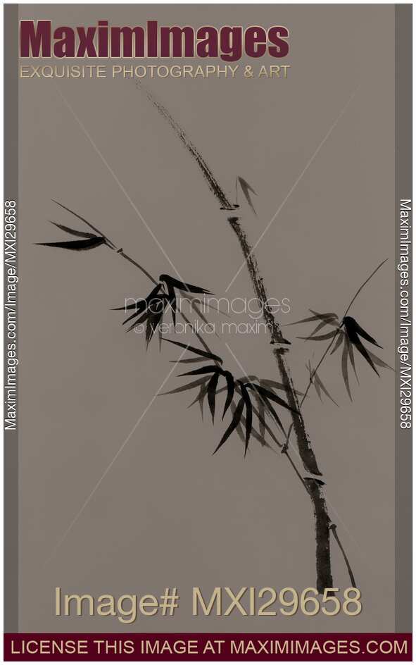 Bamboo stalk with young leaves minimalistic Sumi-e Japanese Zen design in natural colors