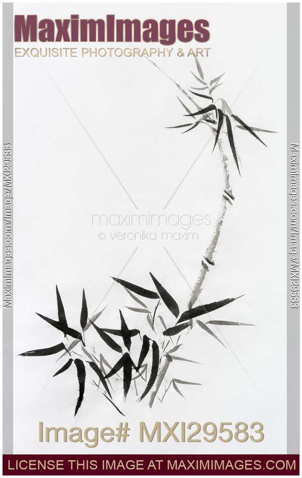 Bamboo stalk with young leaves Sumi-e Japanese Zen painting artwork